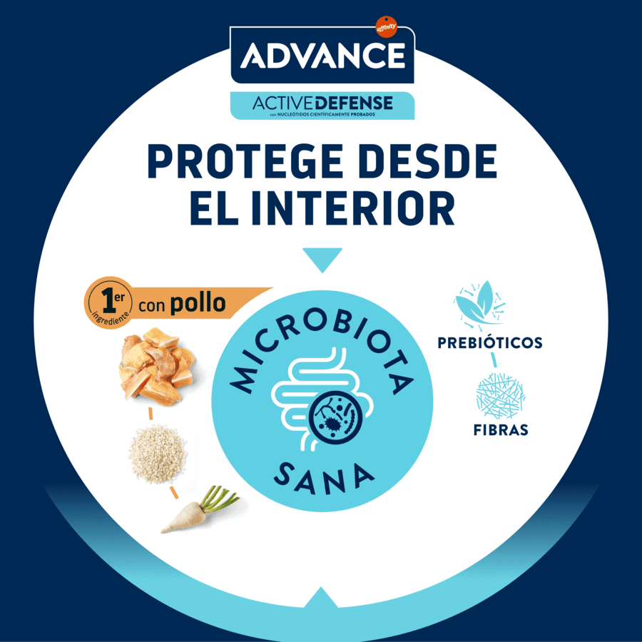 10 kg Advance Pollo y Arroz pienso para gatitos, , large indicador imagen numero 7